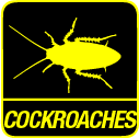 Cockroach Control Sydney