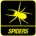 Spider Control NSW