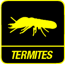 Termite treatments NSW