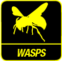 Wasps